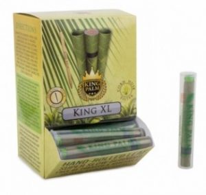 KING PALM CONES XL