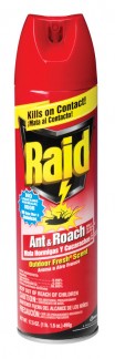 RAID ANT & ROACH 17.5OZ OUTDOOR